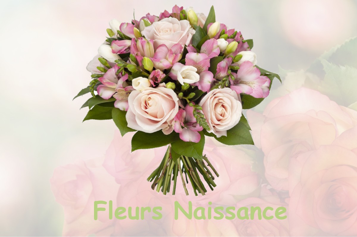 fleurs naissance SAINT-MURY-MONTEYMOND