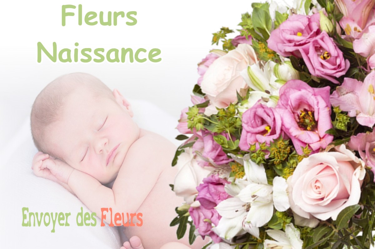 lIVRAISON FLEURS NAISSANCE à SAINT-MURY-MONTEYMOND